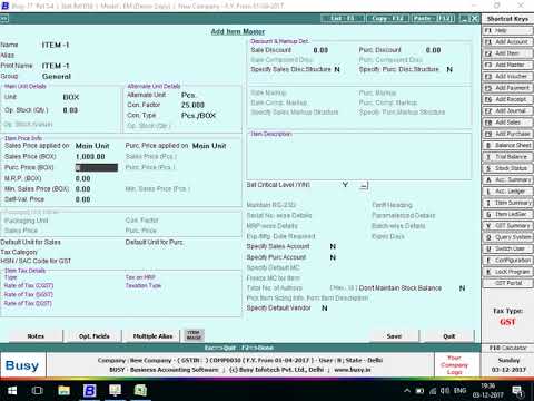 How to Use Busy Accounting Software