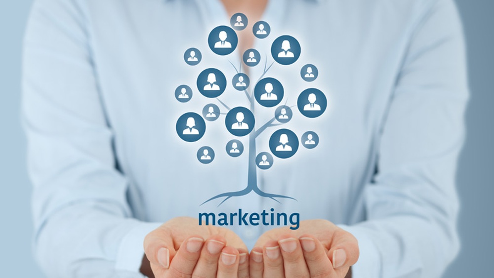 Ama Pcm Digital Marketing Study Guide