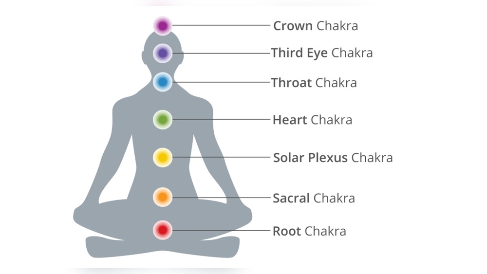 Beginner'S Guide to Digital Marketing Social Plexus