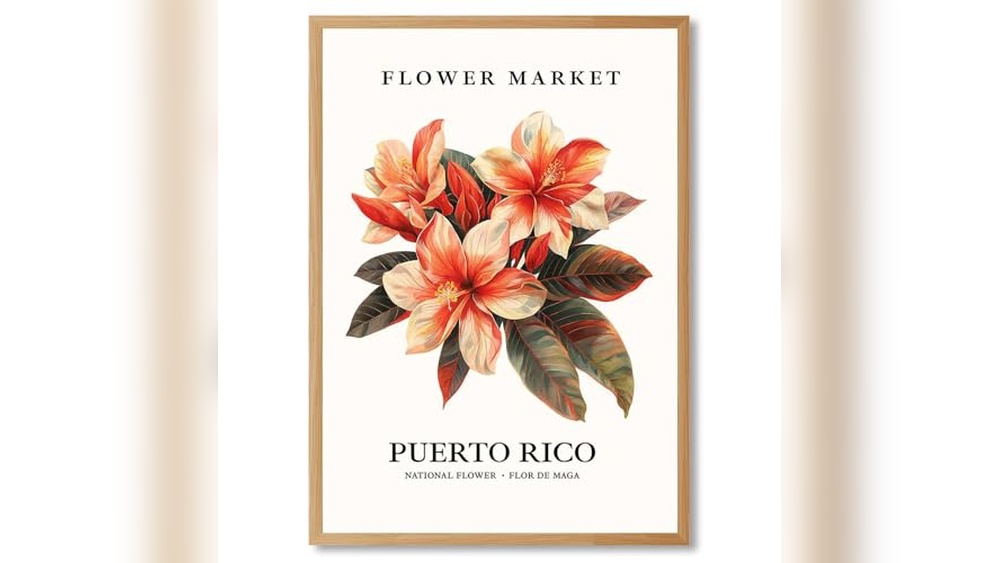 Best Email Marketing Solution in Puerto Rico